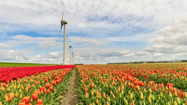 Amsterdam, Netherlands destination slide
