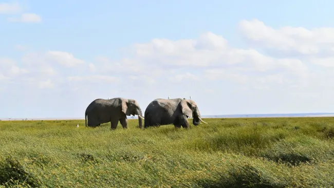 Nairobi, Kenya destination slide