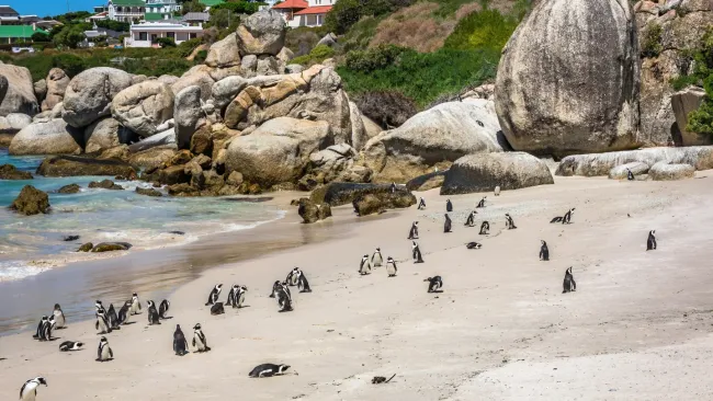 Cape Town, South Africa