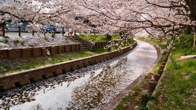 Osaka, Japan destination slide