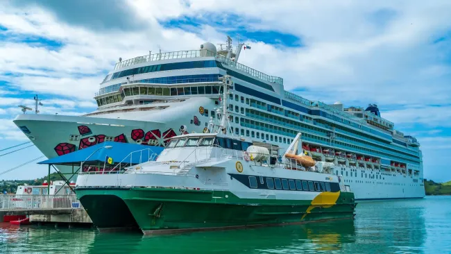 Sunshine This Christmas