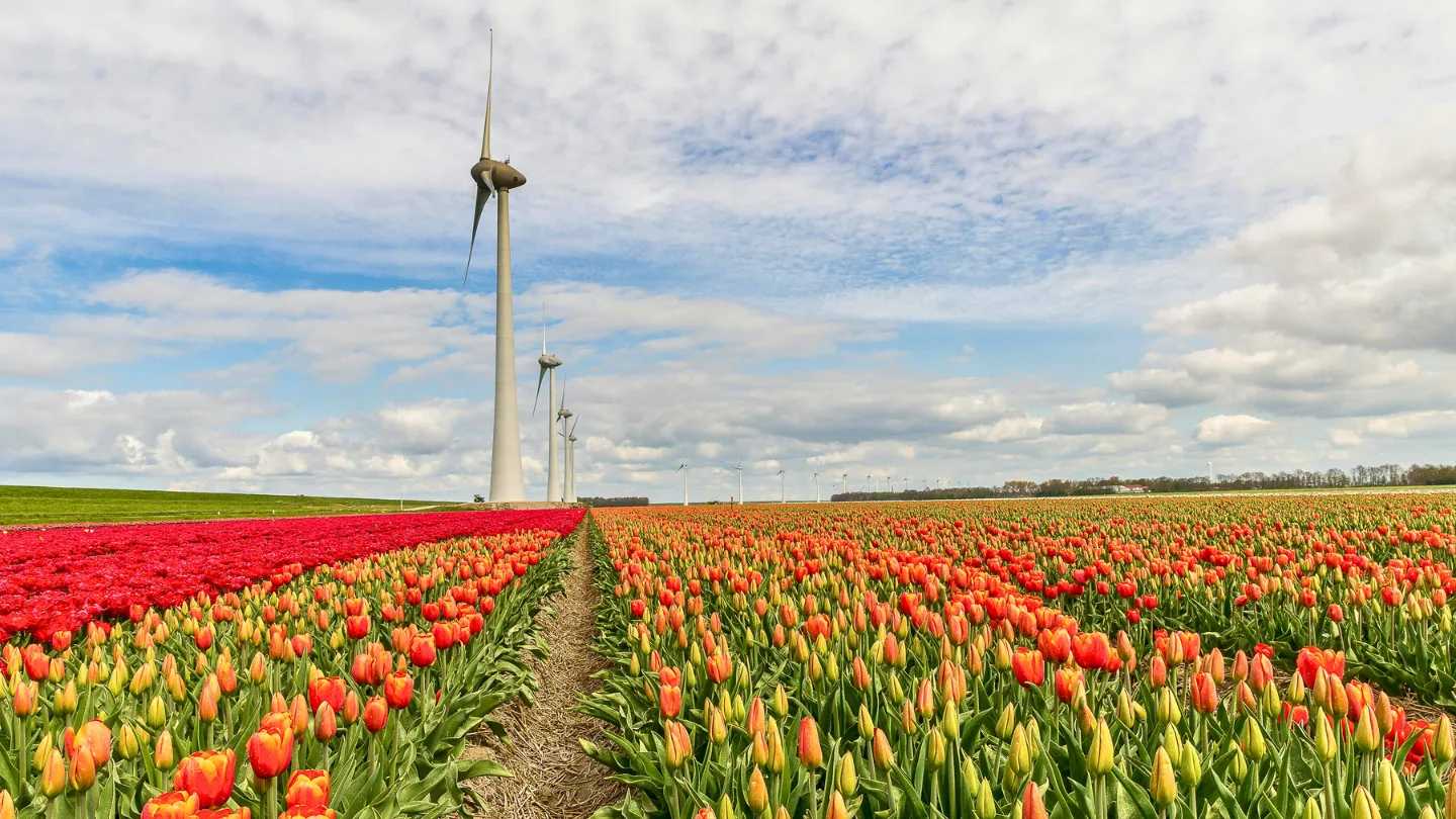 Amsterdam, Netherlands
