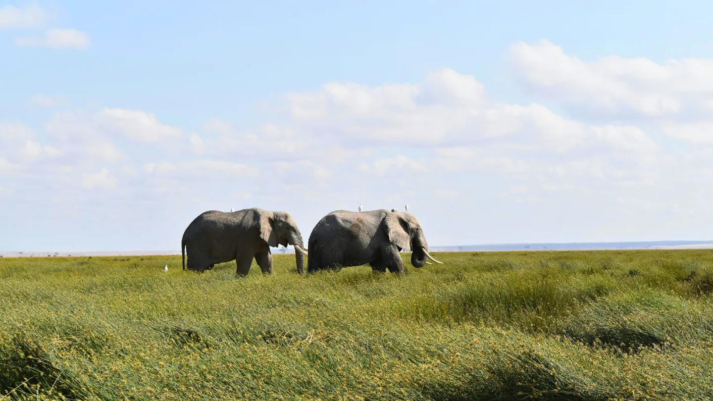 Nairobi, Kenya destination slide