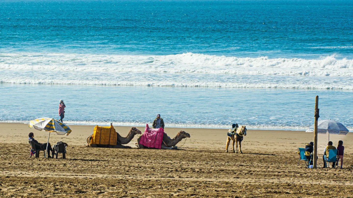 Top Attractions & Things to do in Agadir