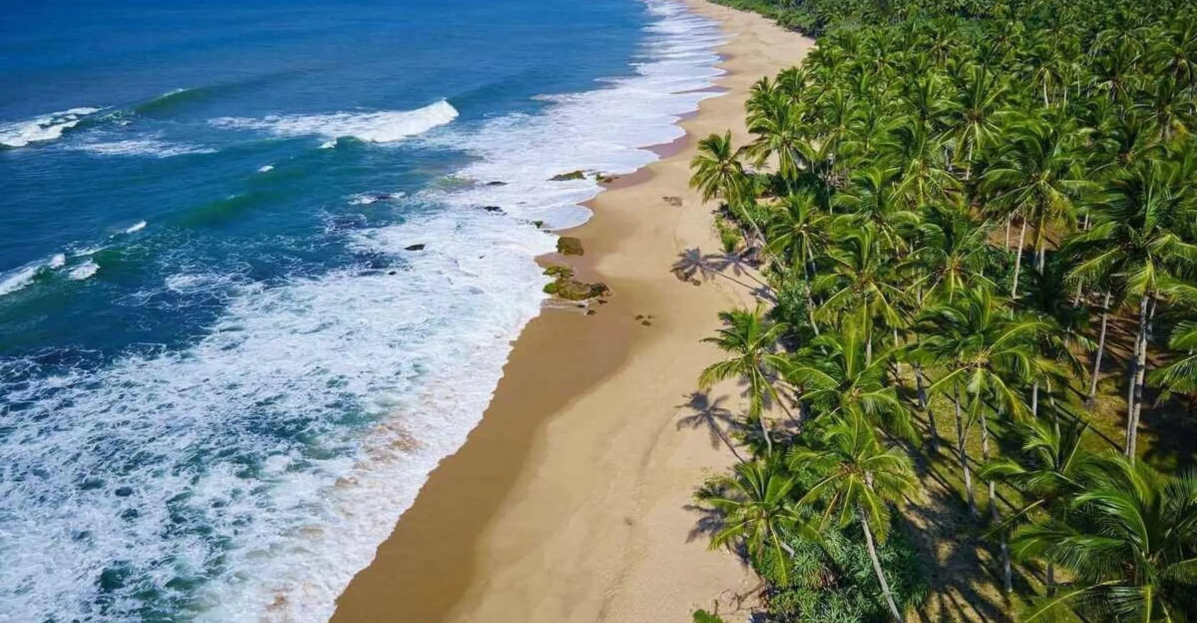 Sri Lanka Beaches 2026: Top 5 UK Travel Companies to Book