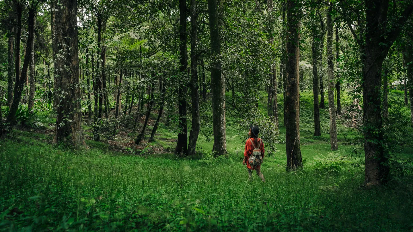 Top Solo Travel Destinations for First-Time Travellers