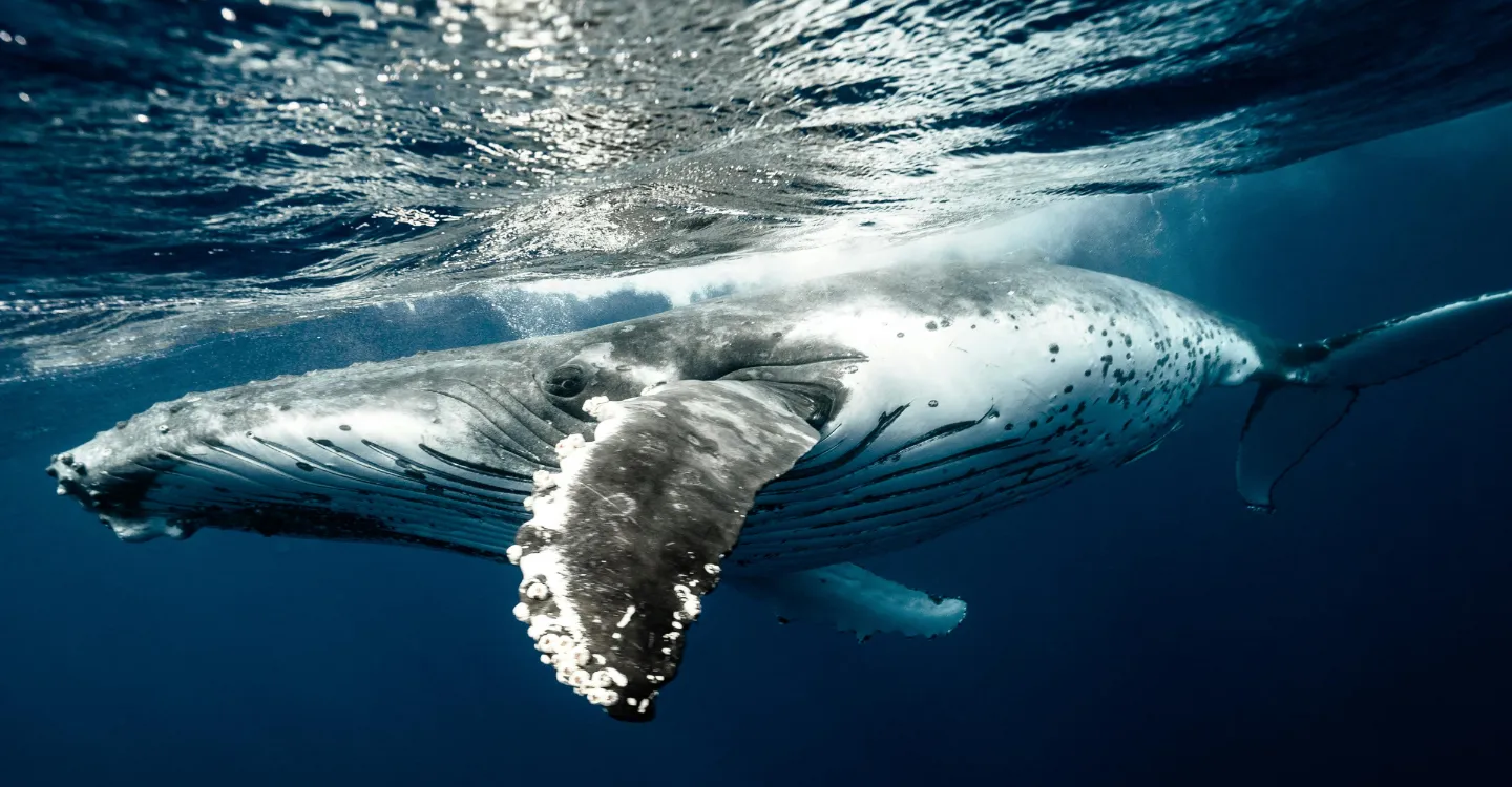 San Juan, USA — a gentle island escape