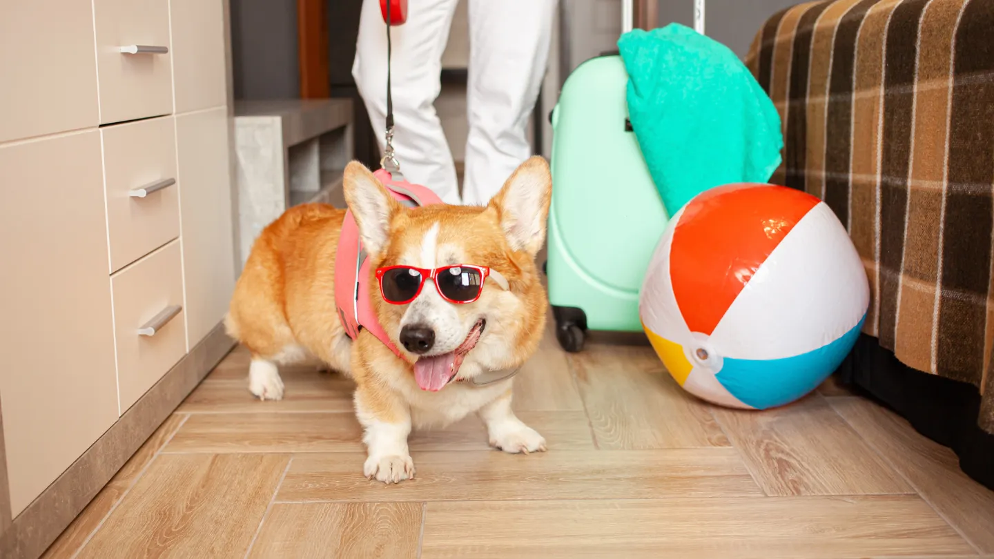 Pet Friendly Vacation Rentals