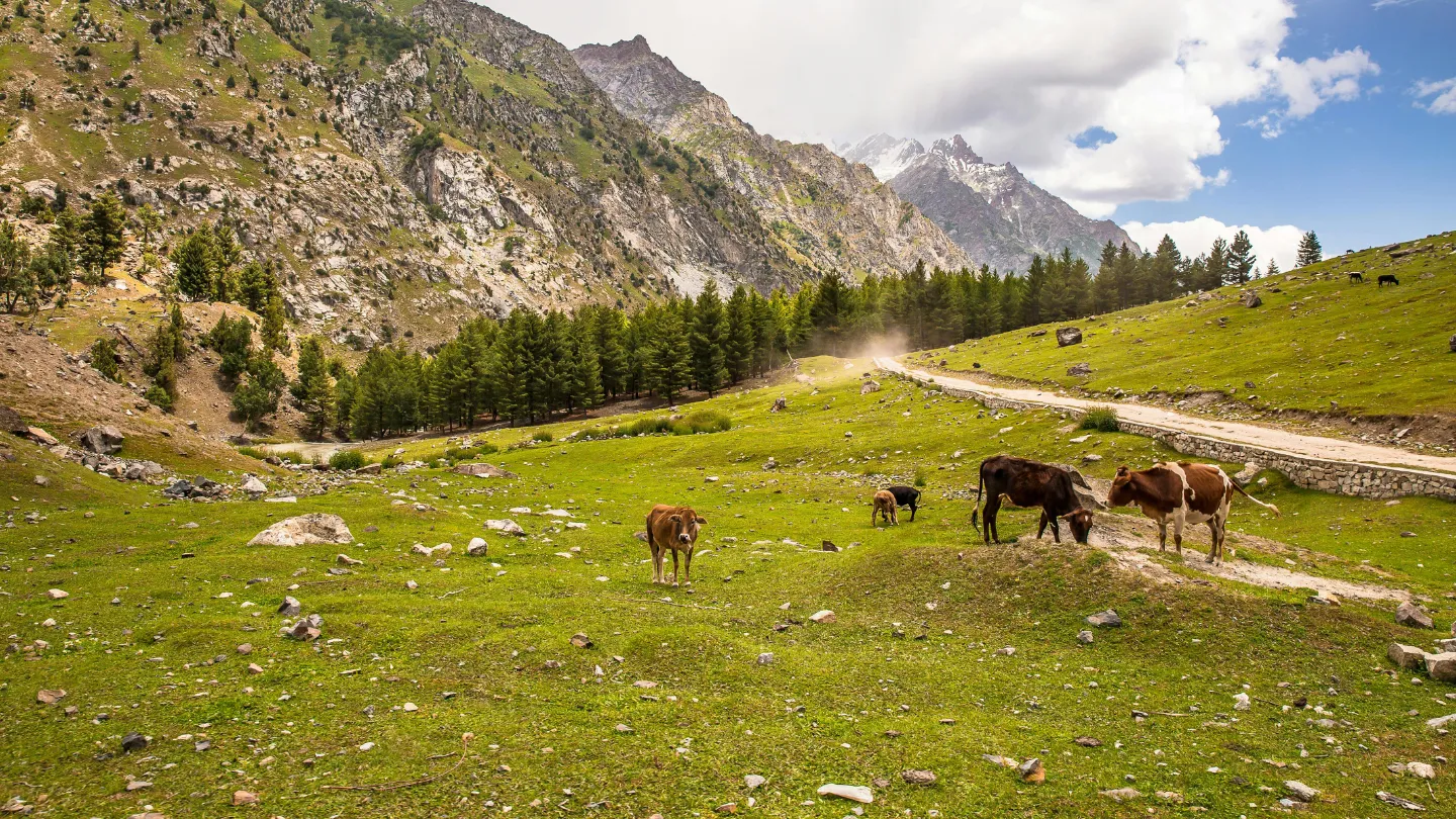 Discover the Best Countryside Escapes for Relaxation in Pakistan