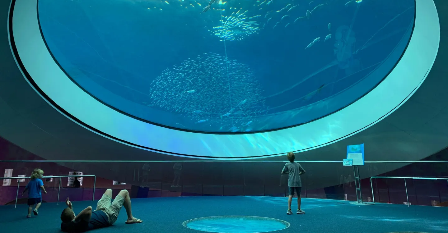  landscapes from the peace destinations