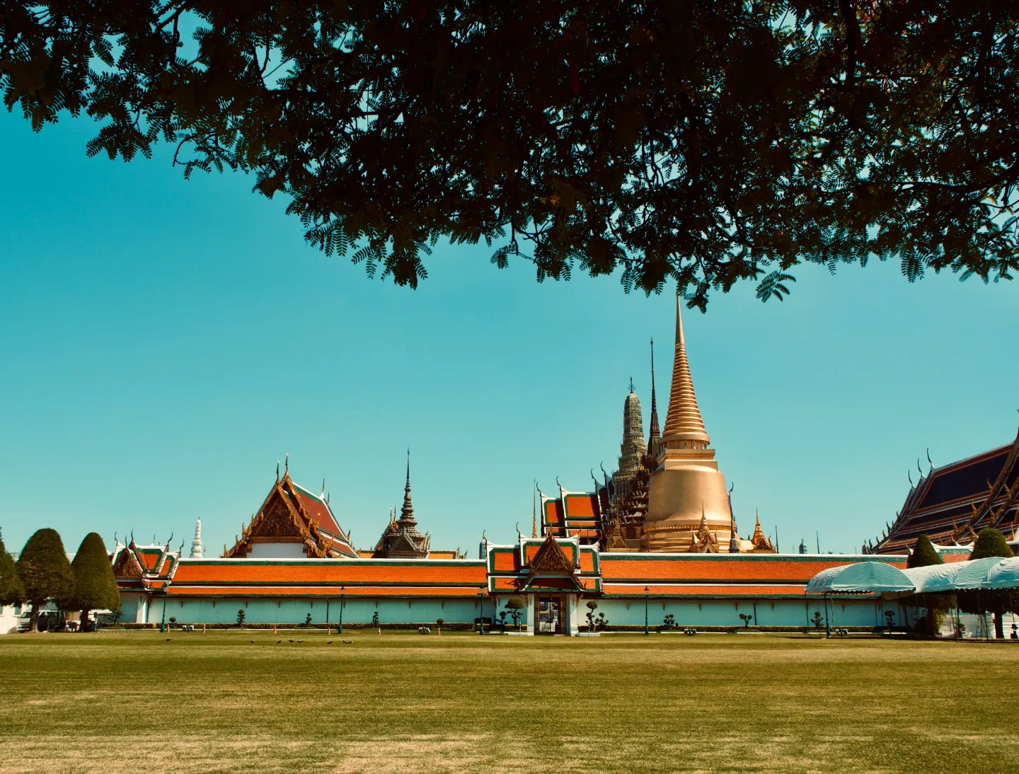 landscapes from the peace destinations