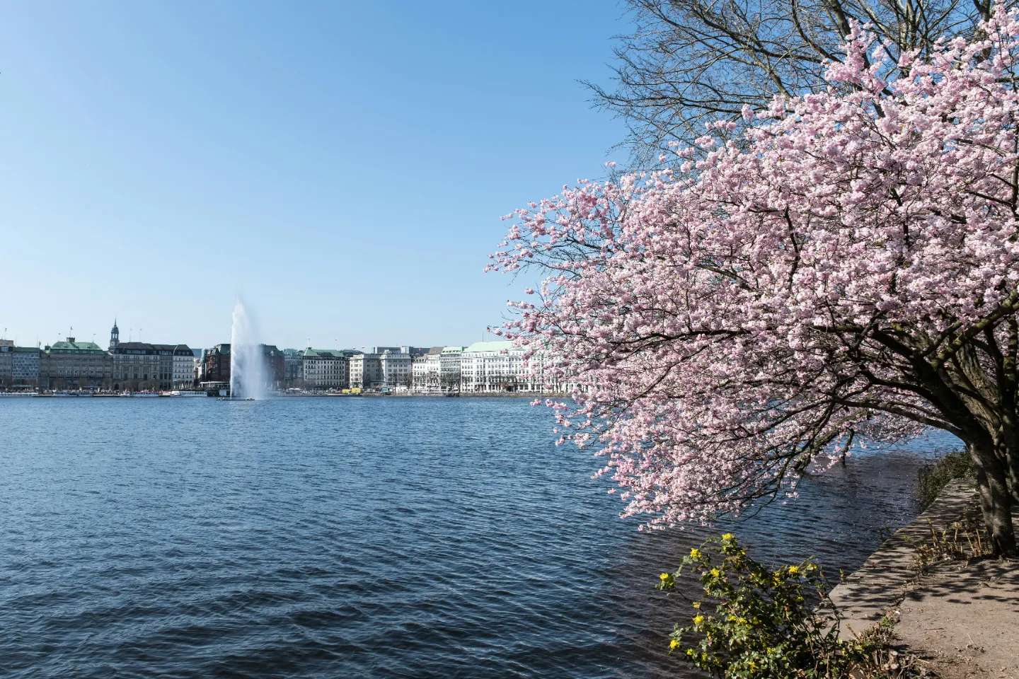  landscapes from the peace destinations