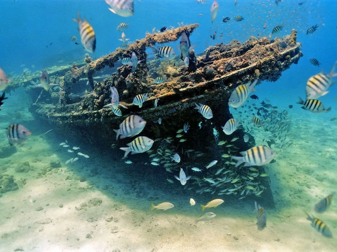  landscapes from the peace destinations