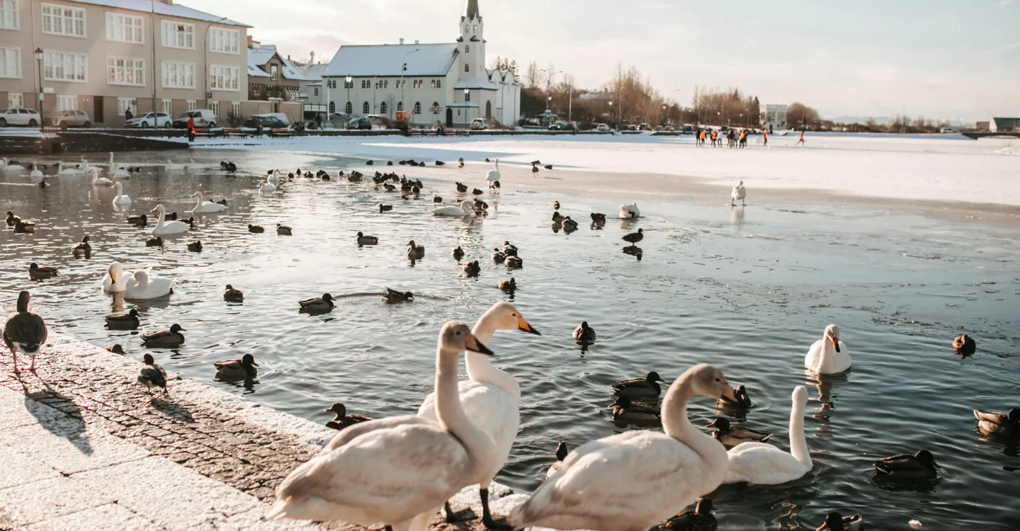  landscapes from the peace destinations